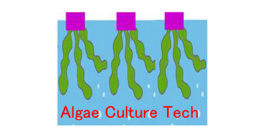 45-logo.jpg