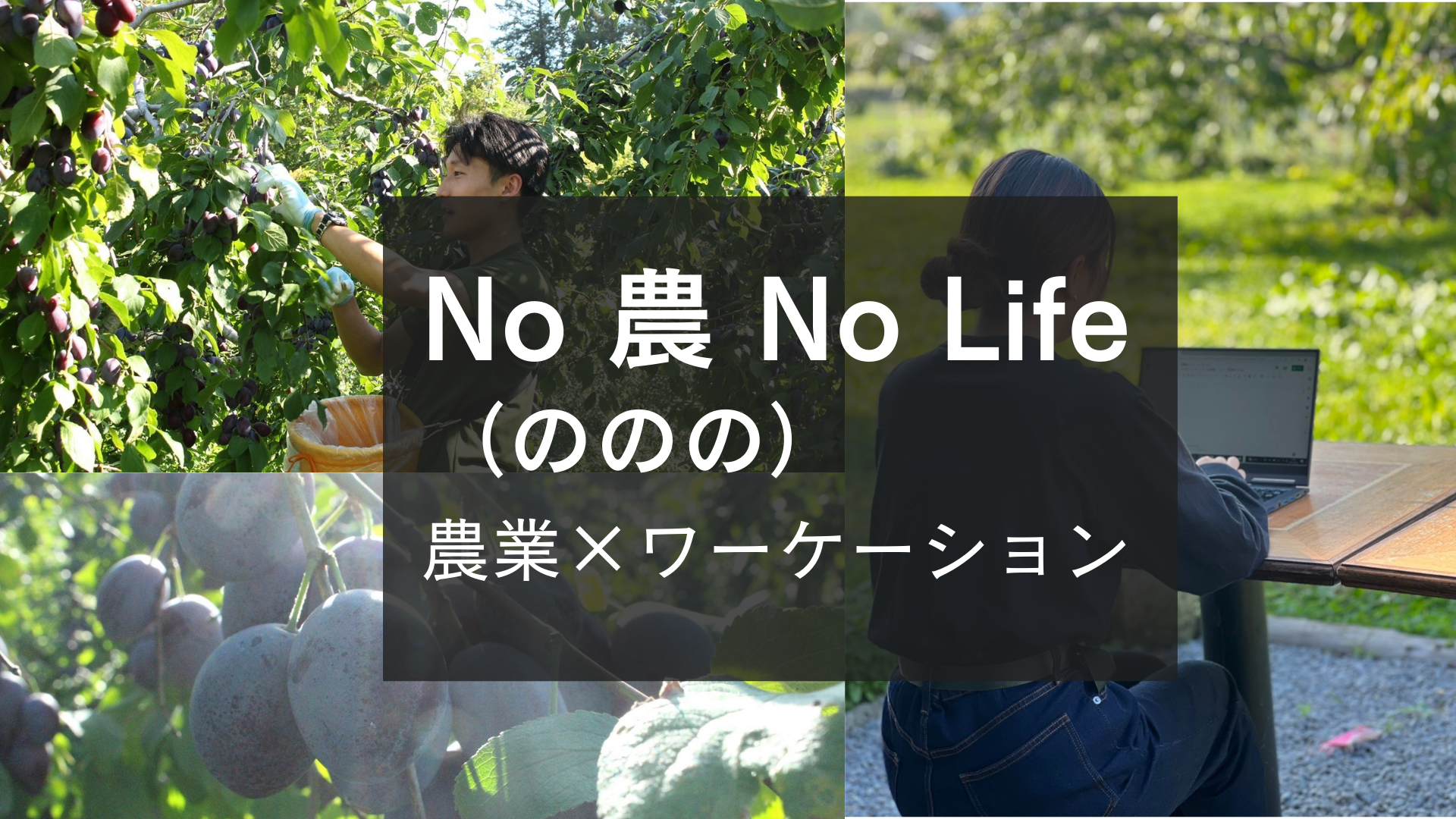 株式会社Perma Future