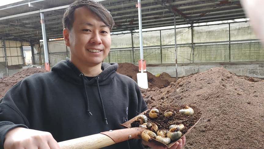 キノコの廃菌床をカブトムシの幼虫が食べて糞と混じった土は窒素分の高い堆肥になる