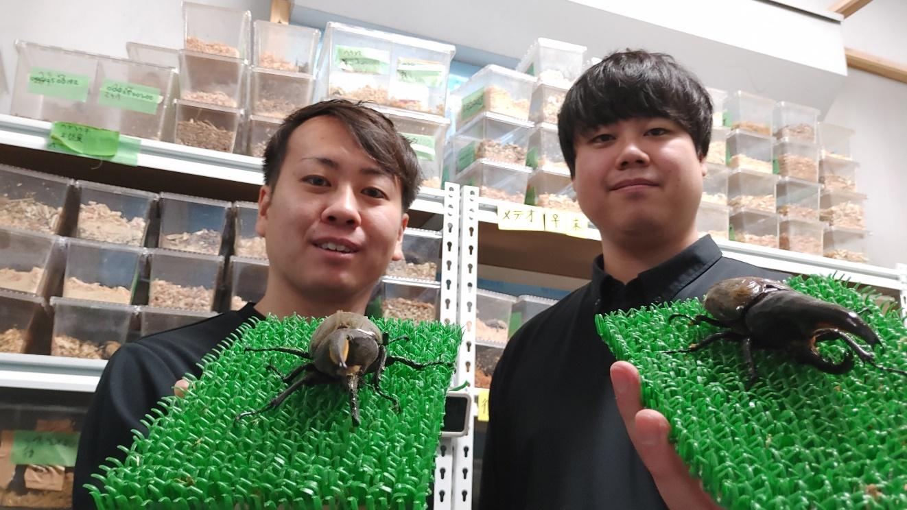 石田CEOが持っているのが自ら育てたマニアに人気のカブトムシ「メテオ」だ