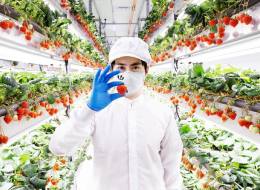 SusHi Tech Tokyoがつなぐ出会い Oishii Farm創業者が語る東京の可能性