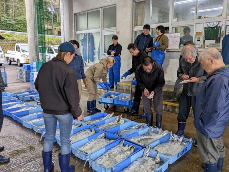 漁協を利用する仲買人は約20人。流通を担う仲買人にとってもDXは多くのメリットがある