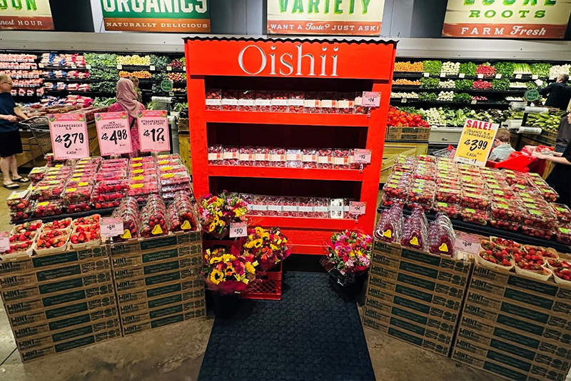 店頭に並ぶプロダクトの様子