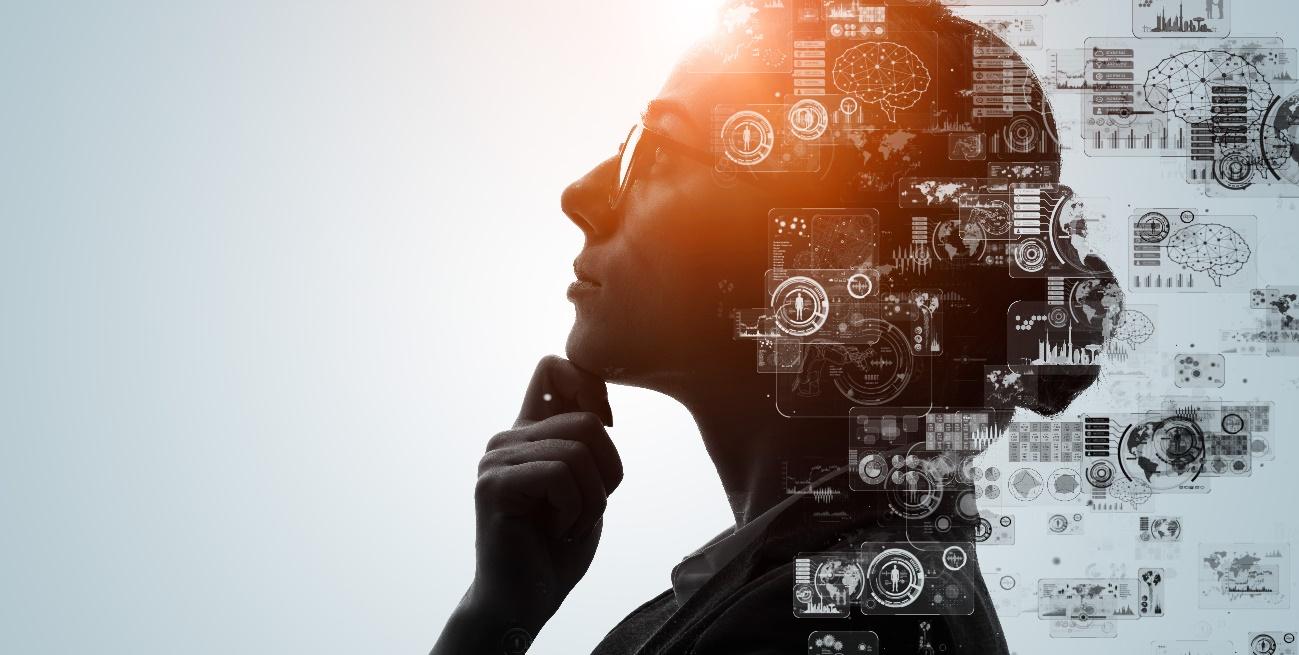 スタートアップの従業員数が半減